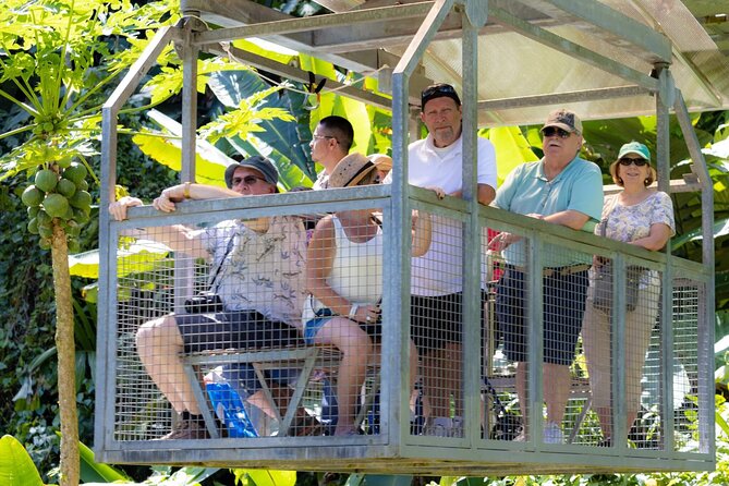Veragua Rainforest Walk, Tram & Tortuguero Boat Tour. Limon Shore Excursion - Should you book this Limon rainforest and canal tour?