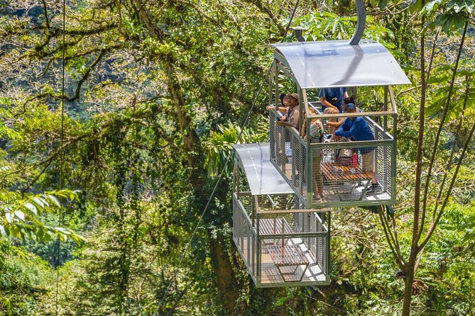 Veragua Rainforest Walk, Tram & Tortuguero Boat Tour. Limon Shore Excursion - Veragua Rainforest Park: tram down through primary forest, then choose your trail