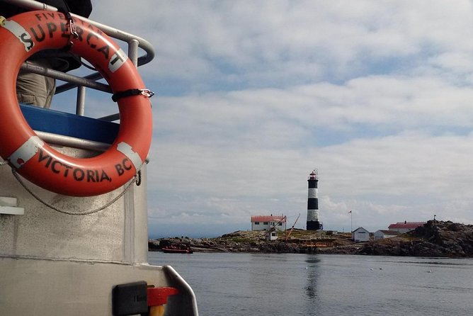 Victoria Shore Excursion: Whale-Watching Cruise with Expert Naturalist Guides - The Naturalist Guides: What You’ll Actually Learn While You Watch