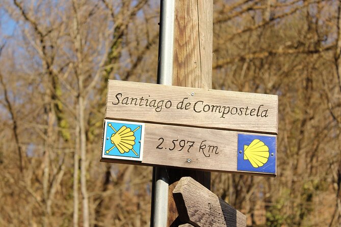 Vigo Santiago de Compostela Shore Excursion with Guide - Stop 1: Santiago de Compostela first look—medieval streets and pilgrim context