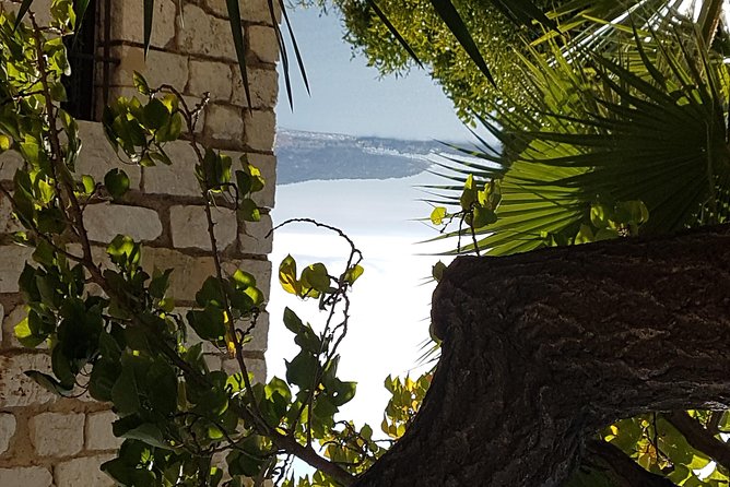 Villefranche Shore Excursion: 6 hrs Private Tour Eze and Monaco - Monaco Grand Prix Drive and Monte Carlo Time in 1.5 Hours