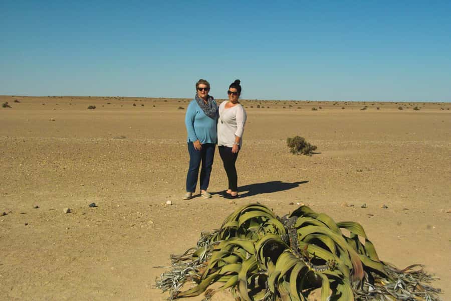 Walvis Bay Shore Excursion: Flamingos, Dune 7, Swakopmund - Price and value: what your $200 covers, and what you still pay