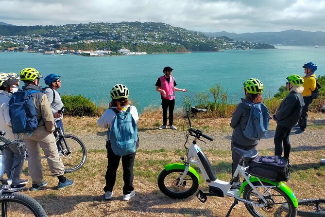 Wellington Guided eBike Tour-Cruise Shore Excursion - Key highlights you’ll feel fast