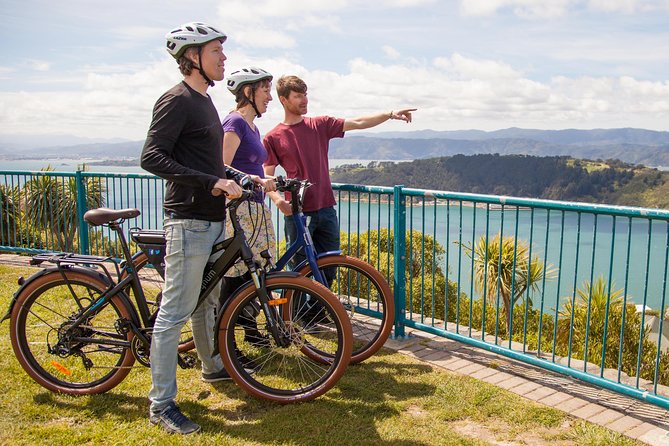 Wellington Guided eBike Tour-Cruise Shore Excursion - Wellington on electric wheels: what you’re paying for