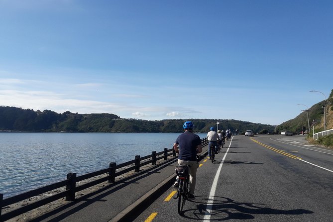 Wellington Guided eBike Tour-Cruise Shore Excursion - Zephyrometer and the 85-foot wind needle: a pause that teaches something