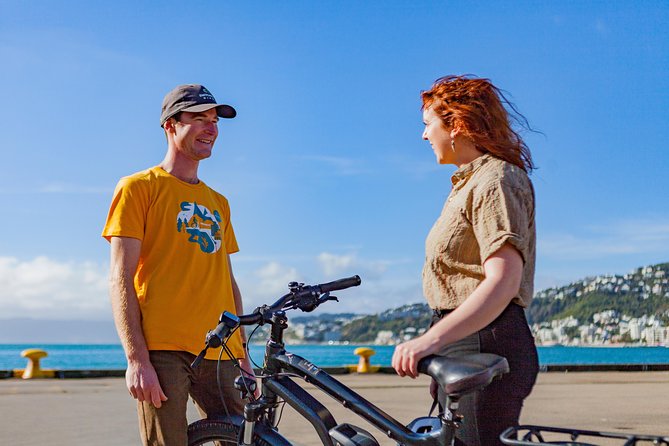 Wellington Guided eBike Tour-Cruise Shore Excursion - Te Papa and Mt Victoria coast: national museum vibes without the museum ticket