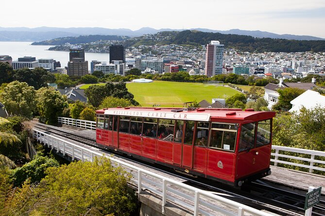 Wellington Shore Excursion City Sightseeing Tour - Key highlights worth your time