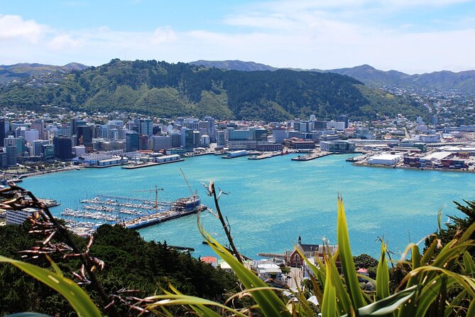 Wellington Shore Excursion City Sightseeing Tour - Mt Victoria: your payoff view over Wellington Harbour