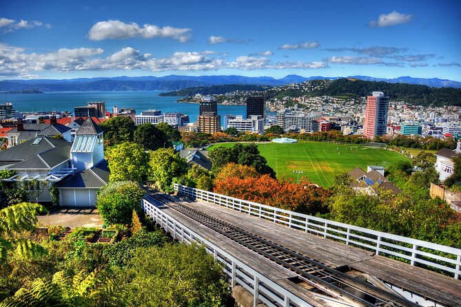 Wellington Shore Excursion City Sightseeing Tour - Lyall Bay and the rugged coast drive: the “shore” feel beyond downtown