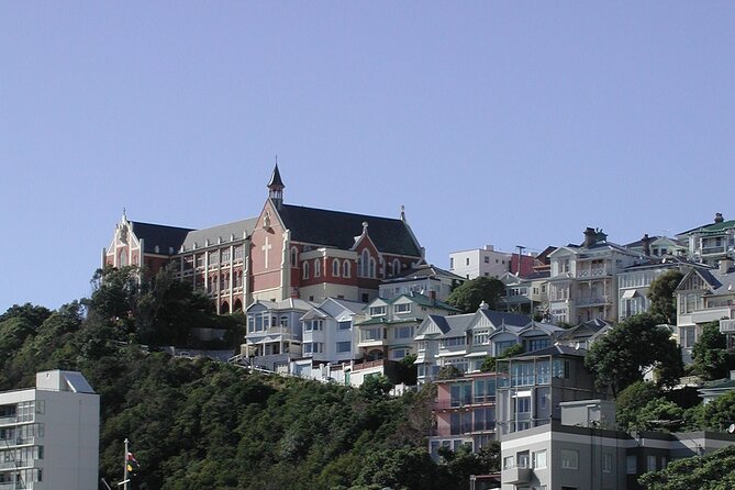 Wellington Shore Excursion City Sightseeing Tour - Price and value: is $96.19 a good deal?