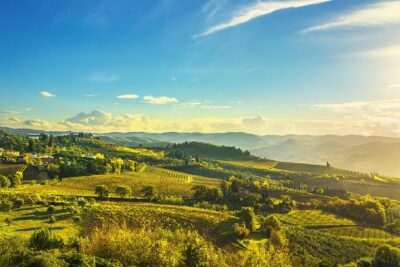 Wine Tour Bolgheri Half Day Shore Excursion from Livorno Port - Private, up to 8: why this format feels easier