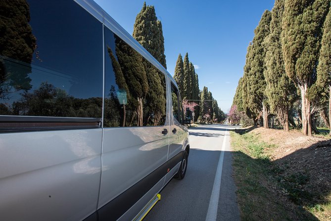 Wine Tour Bolgheri Half Day Shore Excursion from Livorno Port - Price and value: $911 per group adds up fast, then settles