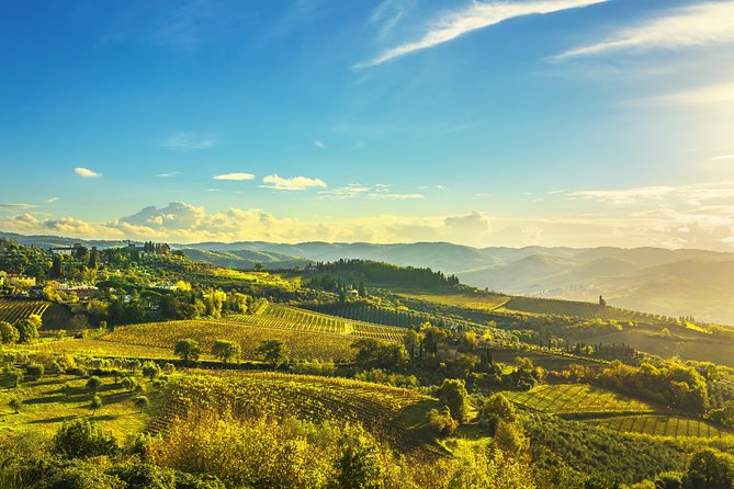 Wine Tour Bolgheri Half Day Shore Excursion from Livorno Port - Private, up to 8: why this format feels easier