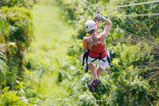 Zipline Canopy Tour & Tortuguero Canal Boat tour. Shore Excursion from Limon - Key highlights worth knowing