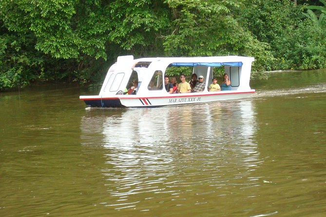 Zipline Canopy Tour & Tortuguero Canal Boat tour. Shore Excursion from Limon - From Limón port to the treetops: how the day actually flows